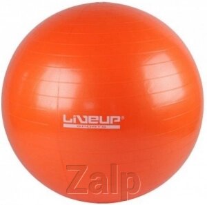 Фітбол LiveUp GYM BALL від компанії Zalp - фото 1