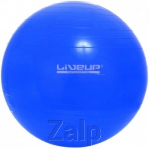 Фітбол LiveUp GYM BALL від компанії Zalp - фото 1