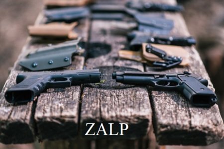 Zalp