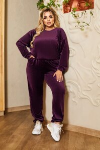 Жіночий спортивний велюровий костюм фіолетового r. 46/48 377723