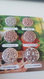 Упаковка (блустер) для насіння (2)