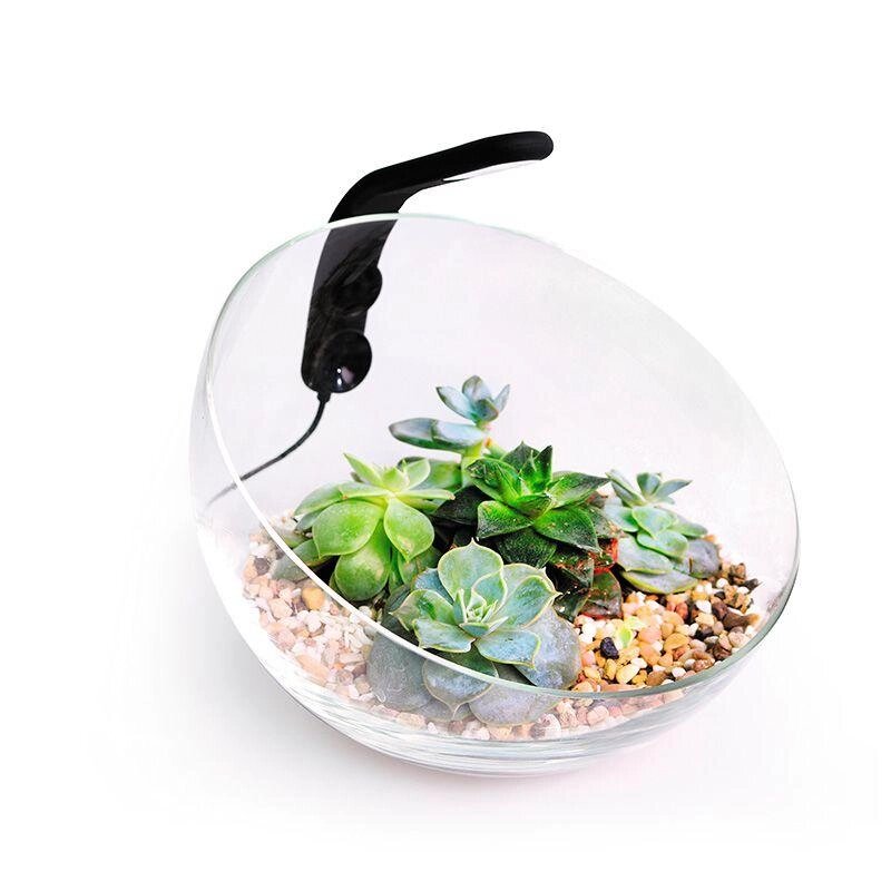 Декоративний акваріумний комплект — Wabi Set від компанії Інтернет-магазин MyAquarium - фото 1