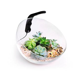 Декоративний акваріумний комплект — Wabi Set