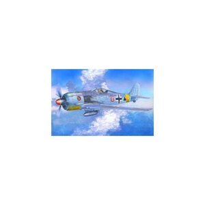 1/72 MISTER CRAFT C-11 - FW-190 F-2