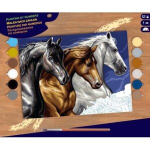Набір для творчості Sequin Art PAINTING BY NUMBERS SENIOR Wild Horses (SA1040)