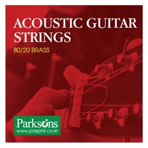 Струни для гітари Parksons Acoustic XL (10-48) (S1048)