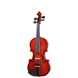 Скрипка Stentor Student Standard 1/8 (1018G)