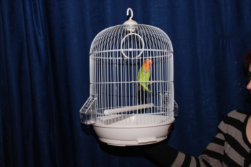 Клітка для дрібних папуг і інших маленьких птахів від компанії Шіпістік Shipistik - фото 1