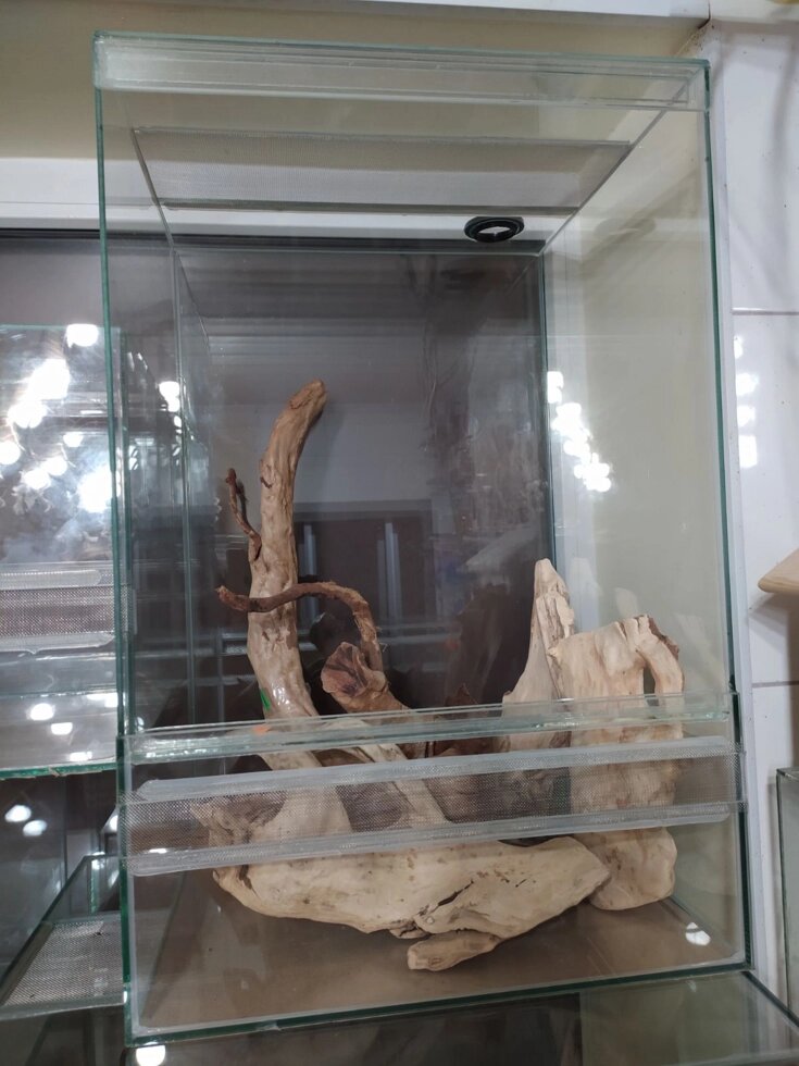 Комплект для утримання хамелеона Єменського, пантерових, розмір М від компанії Шіпістік Shipistik - фото 1