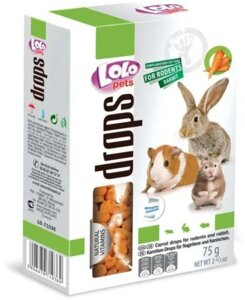 Ласощі для гризунів, дропси з морквою lolo Pets