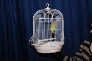 Клітка для дрібних папуг і інших маленьких птахів
