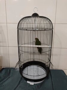 Висока клітка для маленьких, середніх папуг і інших птахів Ф33х67см в Києві от компании Шипистик Shipistik