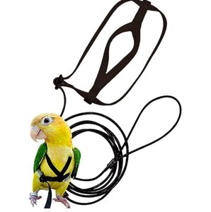 Повідець і шлейка для папуги Каїк або Ожереловий папуга