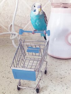 Корзина для покупок, игрушка для птиц, игрушка для попугая