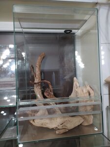 Комплект для утримання хамелеона Єменського, пантерових, розмір М