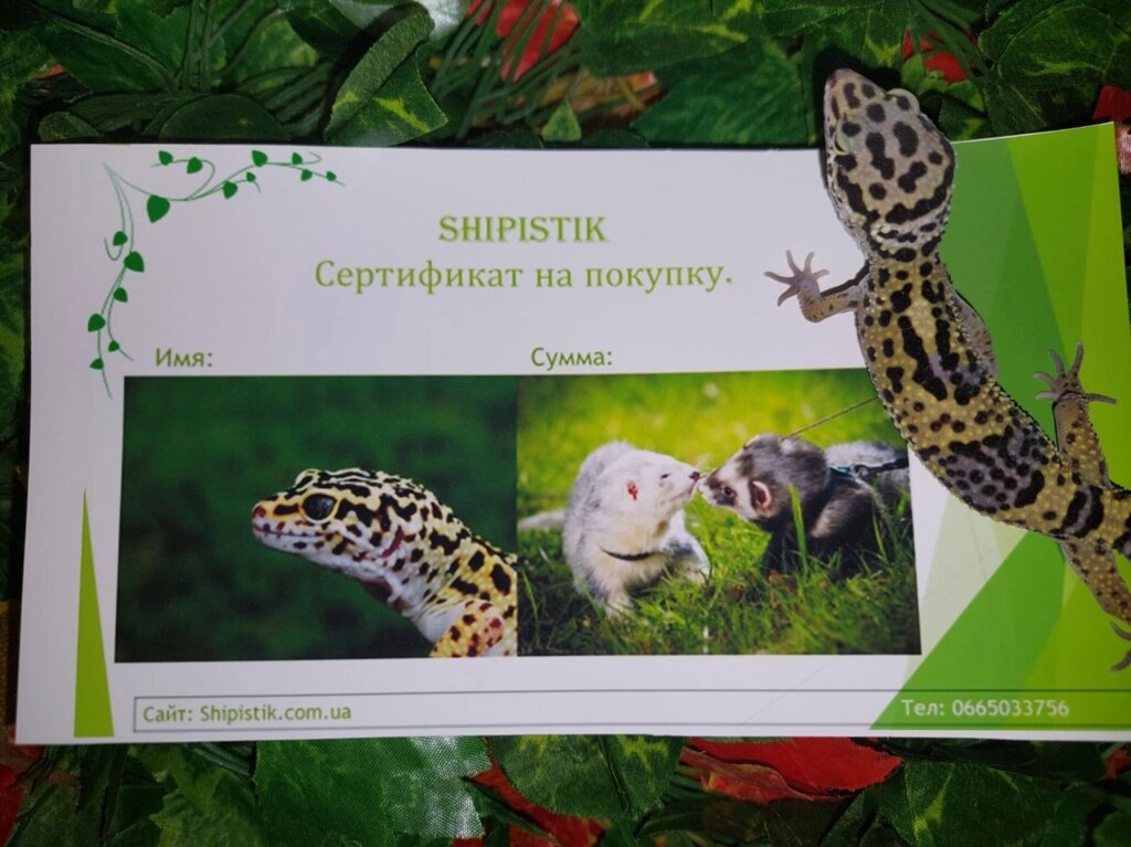 Подарунковий сертифікат універсальний, на будь-яку суму. від компанії Шіпістік Shipistik - фото 1