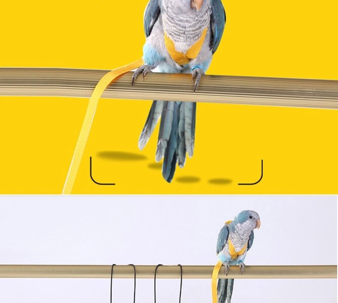 Жалаңаш шламдардың суреттері Ескі зейнеткерлермен жыныстық қатынас