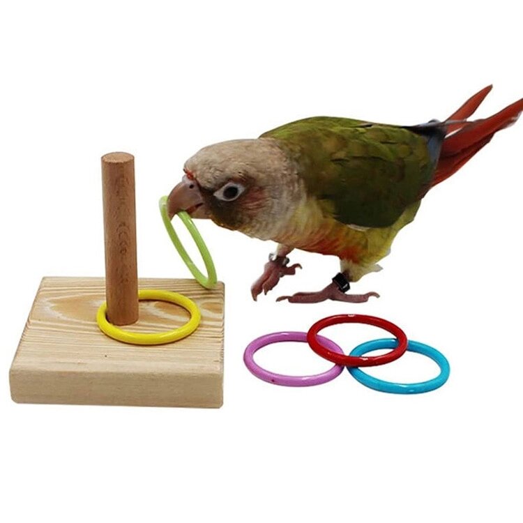 Розвиваюча інтерактивна іграшка для невеликих папуг від компанії Шіпістік Shipistik - фото 1