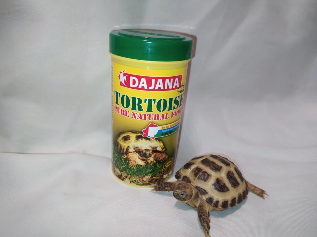 Tortoise 250мл / 60 г Корм для сухопутних черепах і травоїдних від компанії Шіпістік Shipistik - фото 1