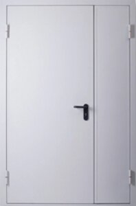Протипожежні металеві двері Полуторні Технічні EI 60 Шагрень RAL 7035