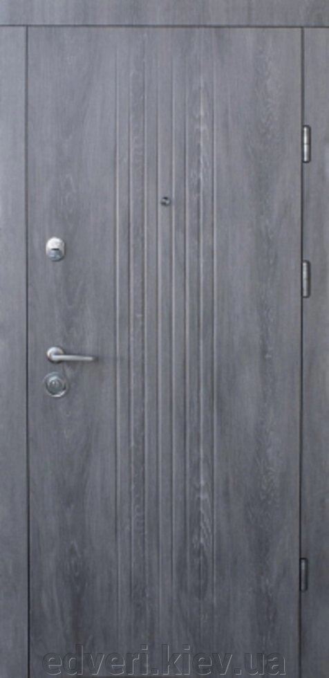 Вхідні двері Форт-Лайн Тріо (квартира) 860 від компанії E-dveri - фото 1
