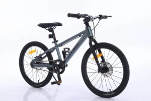 Підлітковий двоколісний велосипед 20 дюймів T12000 DYNA алюмінієвий, дискові гальма / сірий