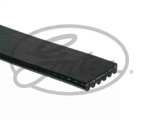 Ремінь генератора ручейковий Aveo (T300) 1.6, GATES (6PK1555) (55580052) від компанії Автосклад - фото 1