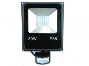 Світлодіодне прожектор з датчиком трафіку NW IP65 HL-12P/30W NW