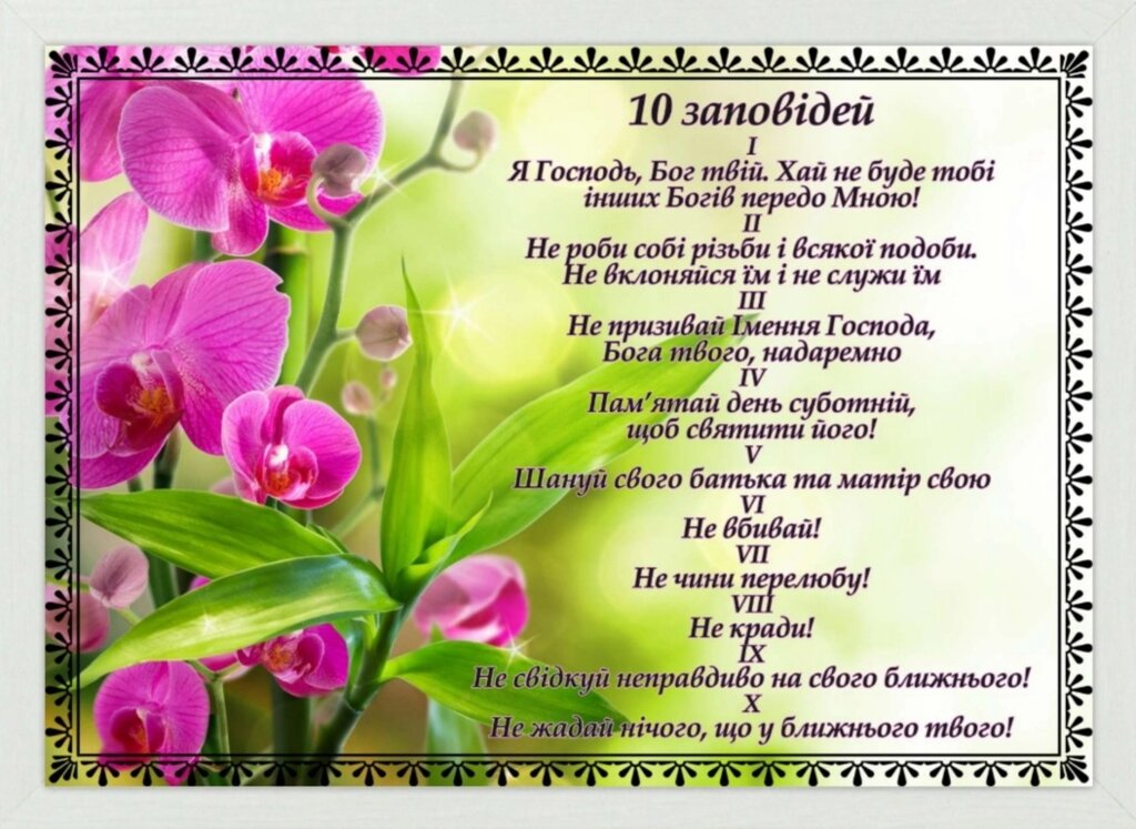 10 заповідей (орхідея), картина А4 від компанії Інтернет магазин emmaus - фото 1