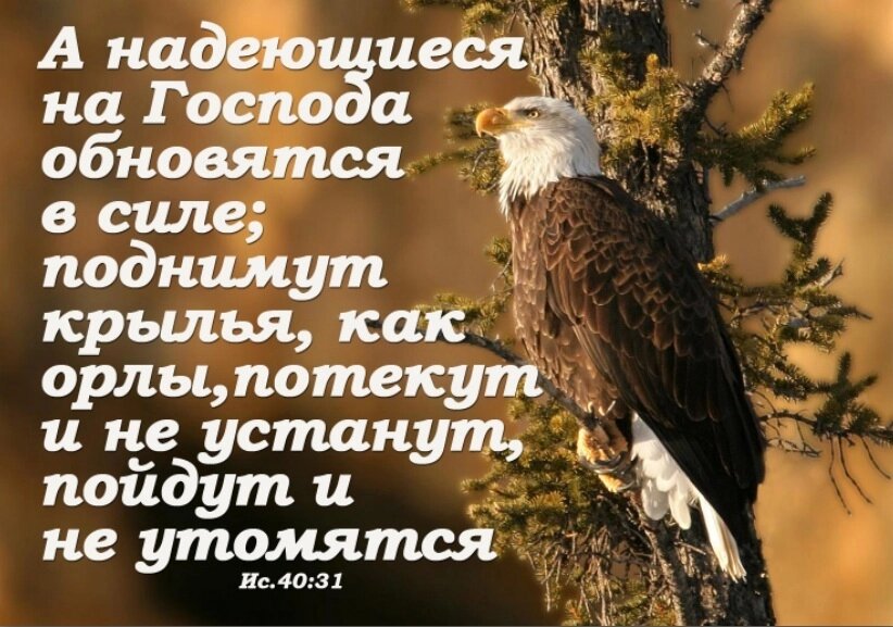 А надеющиеся на Господа/магніт великий від компанії Інтернет магазин emmaus - фото 1