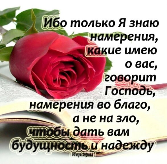 Ибо только Я знаю намерения/магніт середній від компанії Інтернет магазин emmaus - фото 1