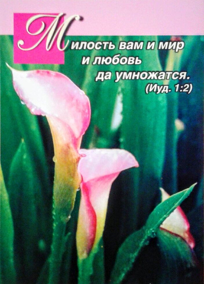 Листівка одинарна  Милість вам і мир і любов хай примножиться * від компанії Інтернет магазин emmaus - фото 1