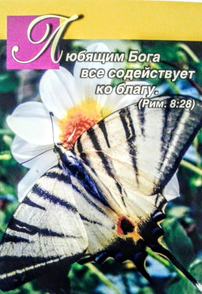 Любящим Бога все содействует во благо. Одинарна листівка * від компанії Інтернет магазин emmaus - фото 1