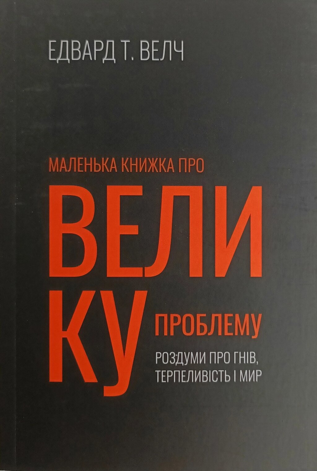 Маленька книжка про велику проблему / Е. Велч/ від компанії Інтернет магазин emmaus - фото 1