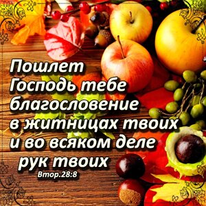 Пошлет Господь тебе благословение/магніт середній