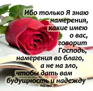 Ибо только Я знаю намерения/магніт середній