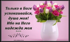 Только в Боге успокаивайся, душа моя/магніт великий