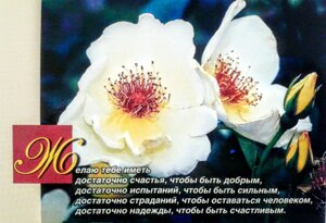 Желаю... Одинарна листівка *