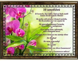 10 Заповідей (орхідея), картина А4