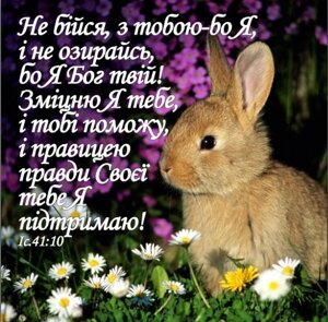 Чи не бійся, з тобою-бо Я магніт середній