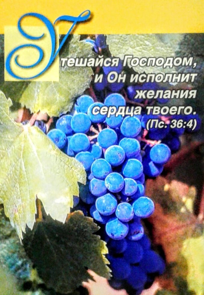 Утешайся Господом, и Он исполнитОдинарні листівки * від компанії Інтернет магазин emmaus - фото 1