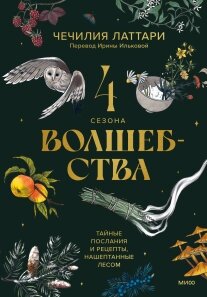 4 сезони чаклунства. Таємні послання та рецепти, нашіптані лісом, Ірина Матвєєва (перекладач) від компанії Інтернет-магазин "Рідіт" - фото 1