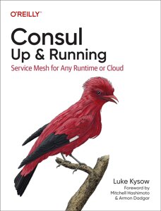 Consul: Up and Running: Service Mesh для будь-якого Runtime or Cloud, Luke Kysow