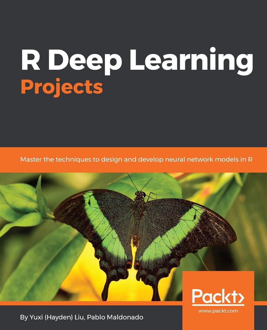 R Deep Learning Projects: Майстер технологій для дизайну і розвитку neural network models in R, Yuxi (Hayden) Liu, від компанії Інтернет-магазин "Рідіт" - фото 1