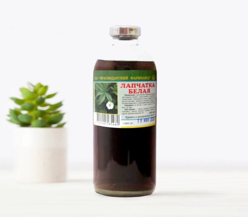 Настойка Лапчатки Белой Отзывы – Telegraph