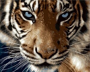 Набір для малювання картини "Погляд тигра" Арт. Q2082 ТМ "Mariposa"