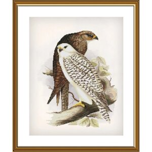 Набір для вишивки нитками на канві з фоновим зображенням СР-2273 Горді птиці
