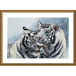 Набір для вишивання нитками на канві із фоновим зображенням СВ3222 "Бенгальські тигри"