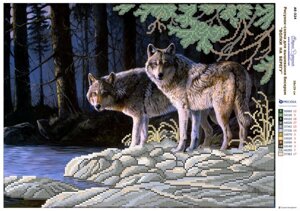 Малюнок на полотні або атласі для вишивання бісером Вовки на березі Країна Рукоділля АЕ-324
