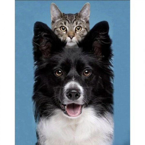 Алмазна мозаїка "Кіт та пес" 30х40 см від компанії Інтернет-магазин  towershop.online - фото 1